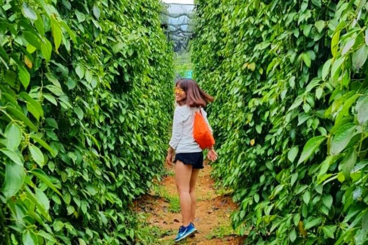 Tour Đà Nẵng - Phú Quốc ( Grand World - Cáp treo Hòn Thơm - Suối Tranh.)